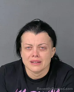 Mugshot of HEATHER NICOLE VAN CLIEF