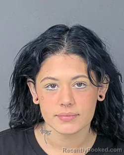 Mugshot of BREANNA ELIZABETH PAIGE SEPULVEDA
