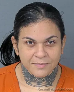 Mugshot of DIANA MOJICA-FLORES