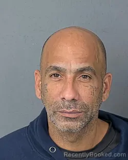 Booking photo from Hernando County, Florida