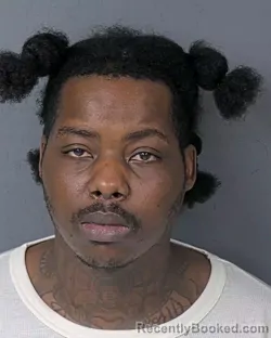 Booking photo from Hernando County, Florida