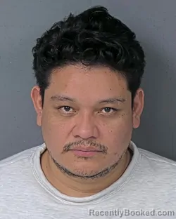 Booking photo from Hernando County, Florida