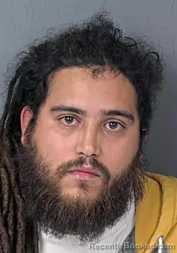 Mugshot of EFRAIN ANTONIO RAMIREZ