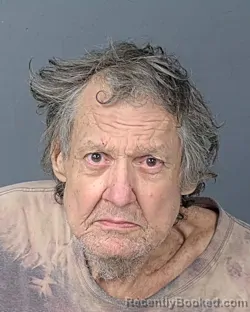 Mugshot of SETH LEROY STINEDURF