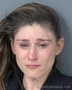 Booking photo from Hernando County, Florida