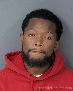 Booking photo from Hernando County, Florida