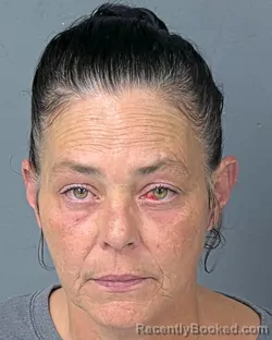 Booking photo from Hernando County, Florida