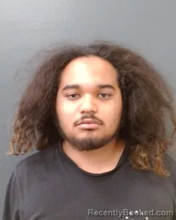 Mugshot of FRANCISCO FABIN ALONSO