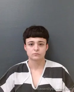 Mugshot of ASHLEY ARREOLA