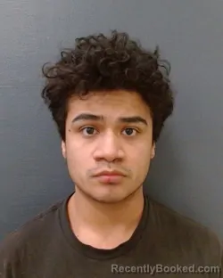 Mugshot of JOSE JOAQUIN CARREON