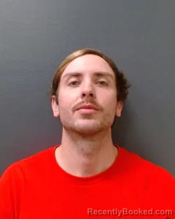 Mugshot of AARON BLAYNE WALKER