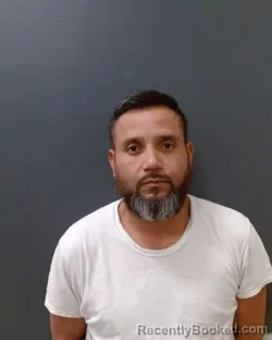 Mugshot of VICENTE CALIX-LEIVA