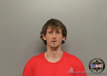 Mugshot of TONY LEE MCELROY