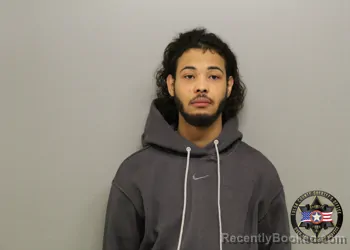 Mugshot of RAVON RAY WILLIAMS