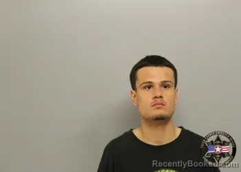 Mugshot of LANE DALE HENSON