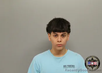 Mugshot of DAVID ROMERO