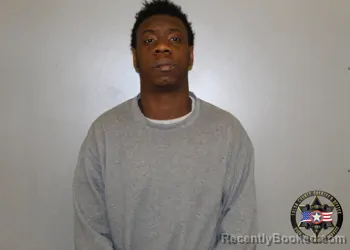 Mugshot of BRIAN FORD