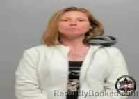 Mugshot of ASHLEY ANN COBB