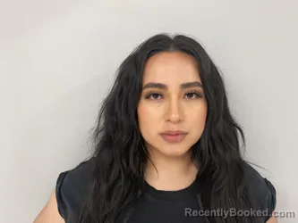 Mugshot of ERIKA BONILLA