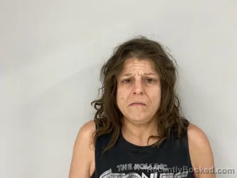 Mugshot of MELINA MARTIN