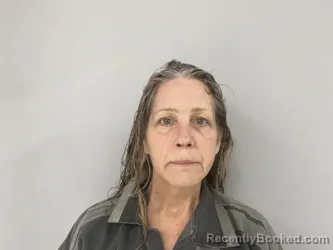 Mugshot of Lisa Landry