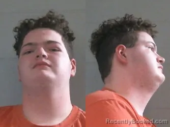 Mugshot of ATLAS GAELYN WILLIAMS