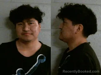 Mugshot of EMILIO MATEO SEBASTIAN