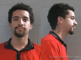 Mugshot of TYLER DYLAN FRAZIER