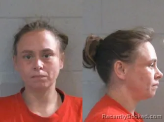 Mugshot of ELIZABETH RUTH STULL