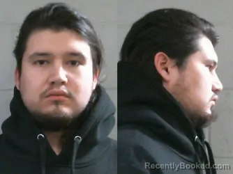 Mugshot of ALEX PARKER