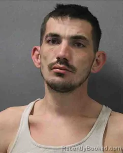 Mugshot of BRANDON LEE NELSON