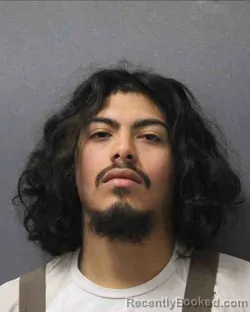 Mugshot of JOSE MOISES LOPEZ
