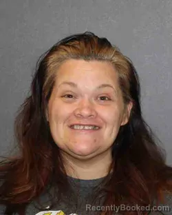 Mugshot of MEAGAN LEIGH ANN PRIVITT