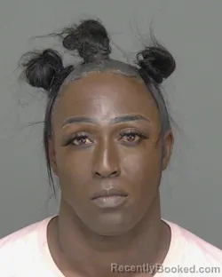 Booking photo from Highlands County, Florida