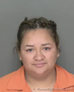 Mugshot of ASTRID VIAU-VASQUEZ