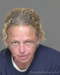 Mugshot of VANESSA MARIE CHIAPPERINI