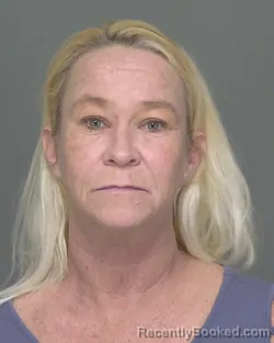 Mugshot of CHRISTINA LYNN NESS