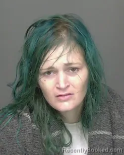 Mugshot of SHELBY LYNN REESE