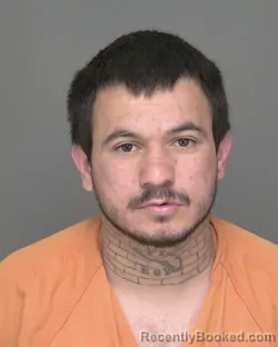 Mugshot of MATEO COLT ZAMORA