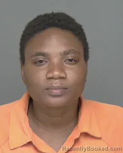 Mugshot of SAGINE N DELVA