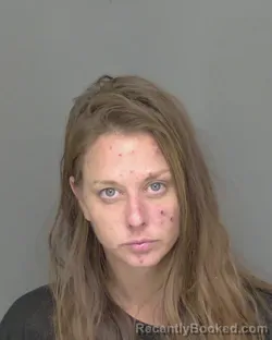 Mugshot of AMANDA LAUREN HAWK