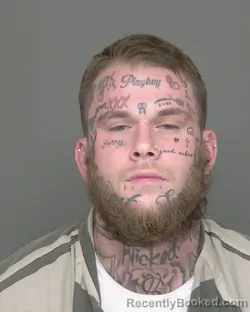 Mugshot of SHANE JACOB OZZY SEARS