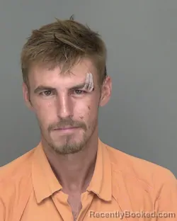 Mugshot of TYLER RYAN PARMALEE