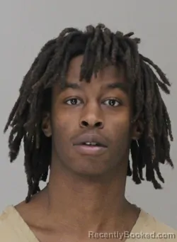 Mugshot of HENRY BENJAMIN