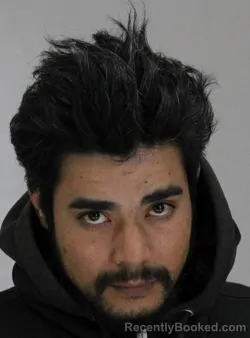 Mugshot of TONY NGUYEN