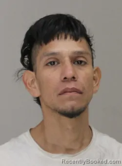 Mugshot of RICARDO RODRIGUEZ