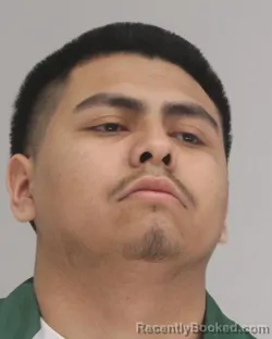 Mugshot of LUIS MARTINEZ