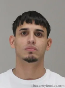 Mugshot of YOEL NIEVESPALMA