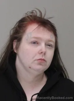 Mugshot of JESSICA SNYDER