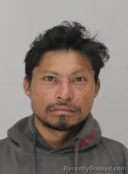 Mugshot of ELVIS SANTOS